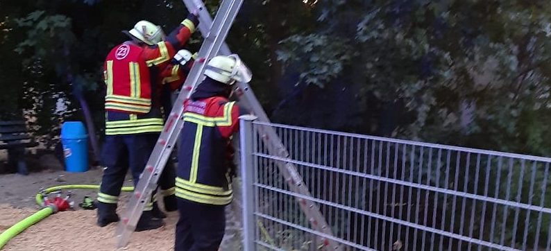 B2 – Flächenbrand