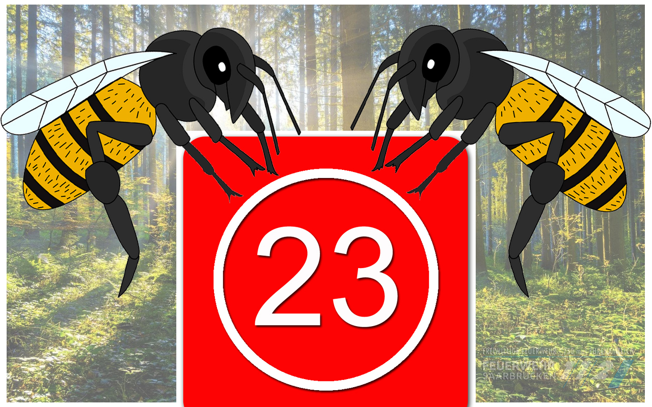 TH1: Erkundung Stechinsekten