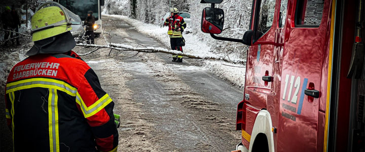 TH – Baum umgestürzt