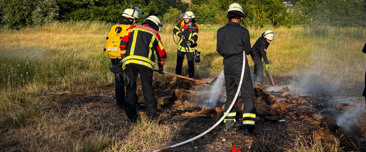 Übung Vegetationsbrandbekämpfung