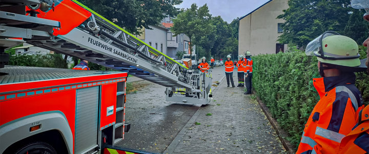 TH – Mehrere umgestürzte Bäume