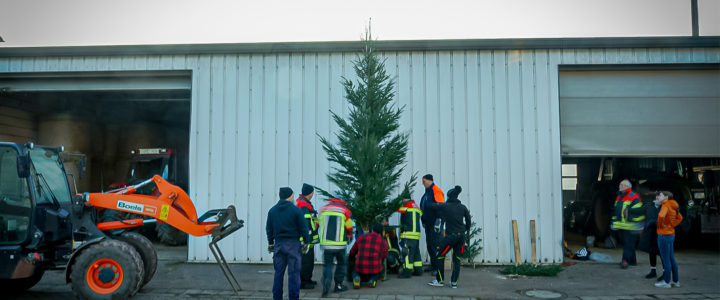 Weihnachtsbaum für Güdinger Ortsmitte