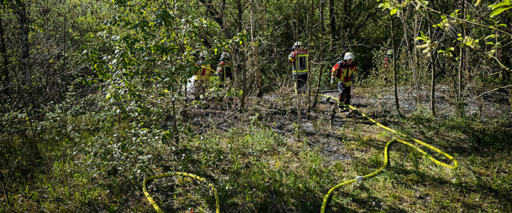 B2 – Brand Fläche / Bäume