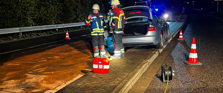 TH – VU mit ausl. Betriebsstoffen